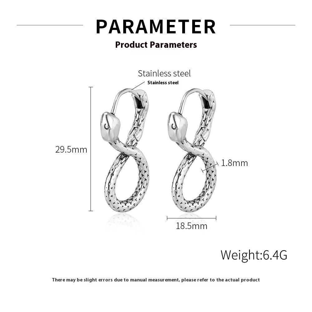 Infinity Serpent Stainless Steel Earrings